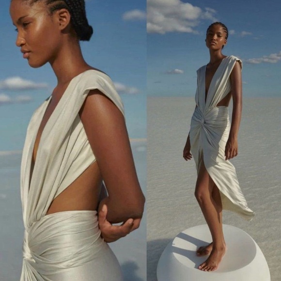 Baobab Collection Dresses & Skirts - Baobab Mia Plunge V-Neck Gathered Midi Sheath Dress, NWT